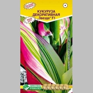 Кукуруза Звезда F1 декоративная