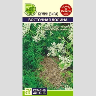 Кумин (Зира) Восточная Долина