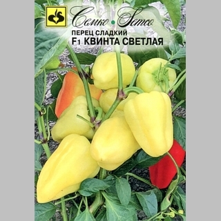 Перец Квинта F1 Светлая
