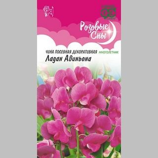 Чина Ладан Авиньона (горошек душистый)