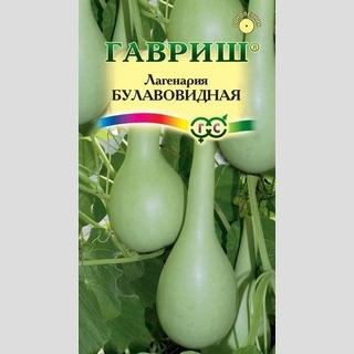 Лагенария Булавовидная