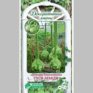 Лагенария Гуси-Лебеди обыкновенная