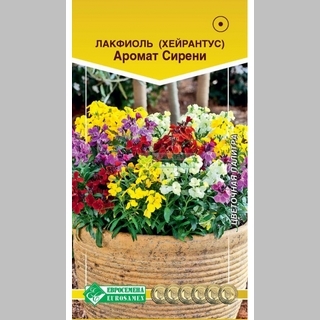 Лакфиоль Аромат Сирени