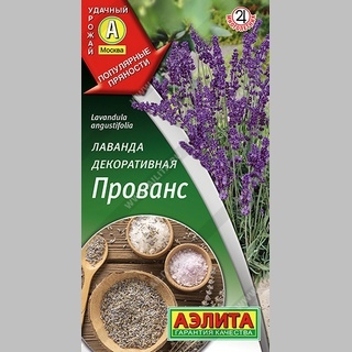 Лаванда Прованс декоративная