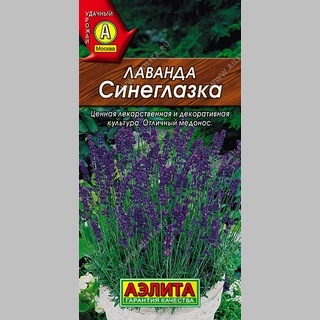 Лаванда Синеглазка