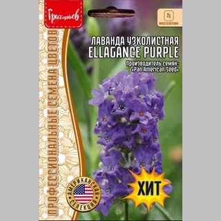 Лаванда Ellagance Purple узколистная компактная (большой пакет)
