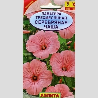 Лаватера Серебряная Чаша