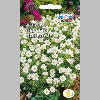 Легузия Первый поцелуй