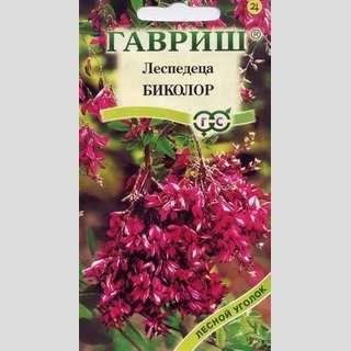 Леспедеца Биколор двуцветная