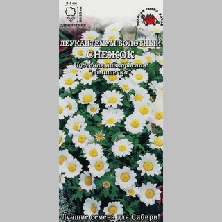 Леукантемум Снежок