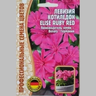 Левизия Котиледон Elise Ruby Red (большой пакет)