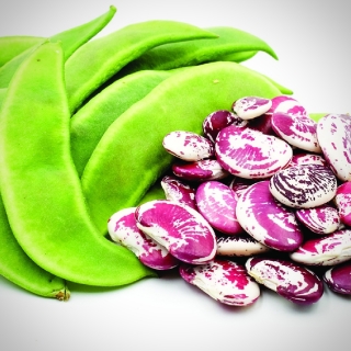 Фасоль Лимская