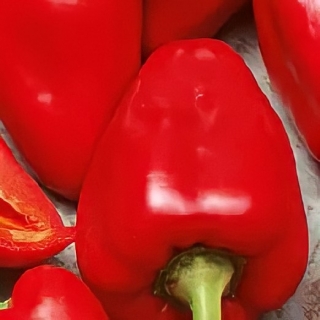 Перец Лисичка красная