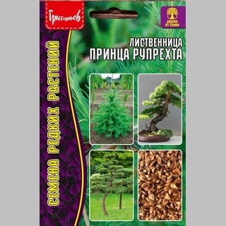 Лиственница Принца Рупрехта (большой пакет)