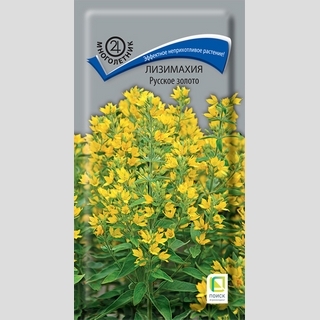 Лизимахия Русское золото