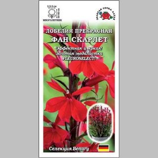 Лобелия Фан Скарлет