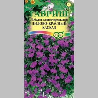 Лобелия Лилово-красный каскад (ампельная)