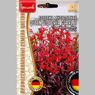 Лобелия Queen Victoria Scarlet (большой пакет)