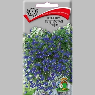Лобелия Сапфир плетистая