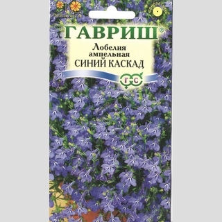 Лобелия Синий каскад ампельная