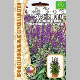 Лобелия Starship Blue прекрасная (большой пакет)