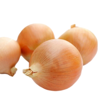 Лук Бенефит F1 репчатый