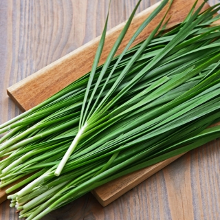 Лук Зеленый Дол душистый