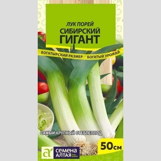 Лук Сибирский Гигант порей