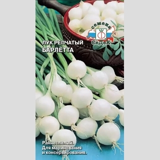 Лук Барлетта репчатый