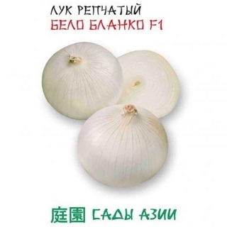 Лук Бело Бланко F1 репчатый