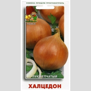 Лук Халцедон (репчатый)
