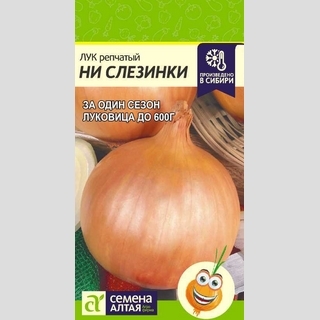 Лук Ни Слезинки репчатый