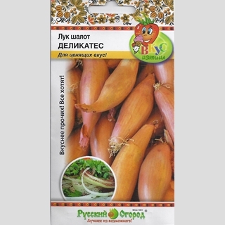 Лук Деликатес шалот (Вкуснятина)