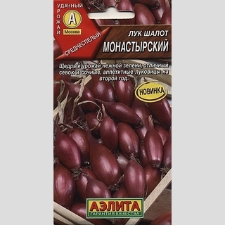 Лук Монастырский шалот