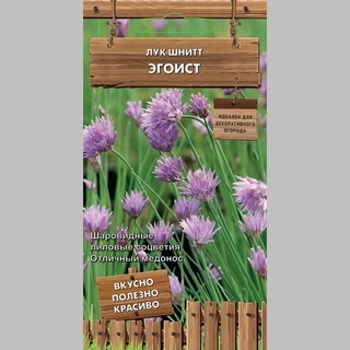 Лук Эгоист шнитт