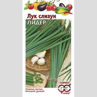 Лук Лидер слизун