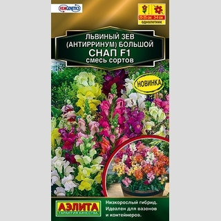 Львиный зев Снап F1 смесь