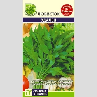 Любисток Удалец