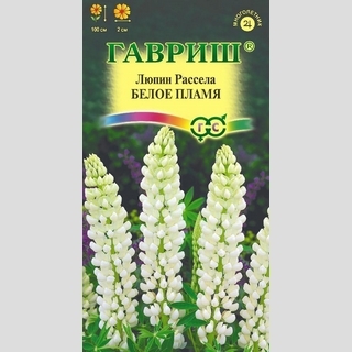 Люпин Белое пламя