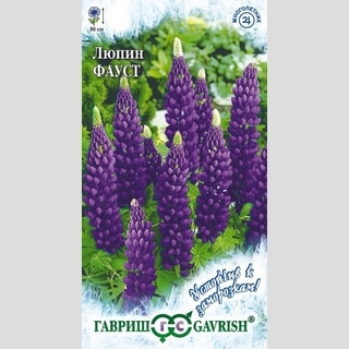 Люпин Фауст (многолистный)