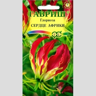 Глориоза Сердце Африки великолепная