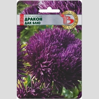 Астра Дракон селект Дак Блю