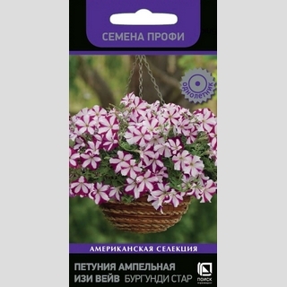 Петуния Изи Вейв F1 Бургунди Стар (Семена Профи)