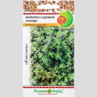 Майоран садовый Сканди