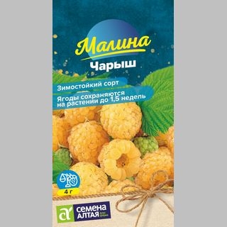 Малина Чарыш желтая
