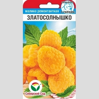 Малина Златосолнышко