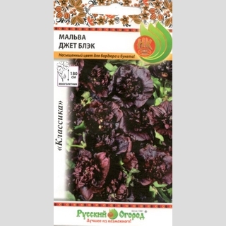 Мальва Джет Блэк