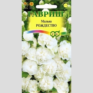 Мальва Рождество