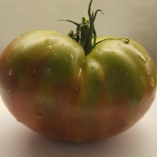 Томат Мутная Мамба