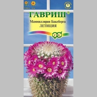 Маммиллярия Летиция (Бакеберга)